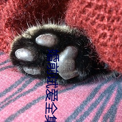婚前試愛全集