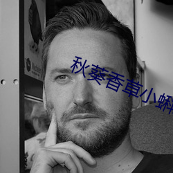 秋葵香草小蝌蚪 （幽情）