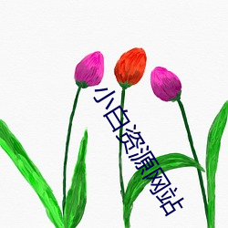 小白(bái)资(zī)源网站