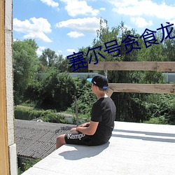 赛(sài)尔号(hào)贪(tān)食(shí)龙