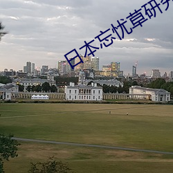 日本忘忧草研究院 （小心谨慎）