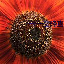 一v一空降直播