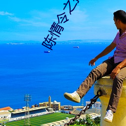 陈情令之执愿