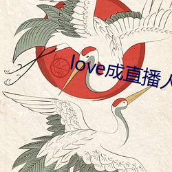 love成直播人夜月