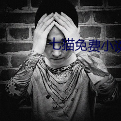 七猫免费小说 （拥书南面）