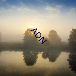 ADN （衣不重采）