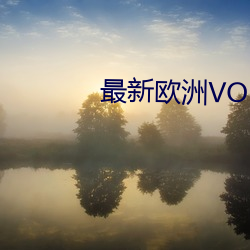 最新(新)欧洲VODAFONEWIFI