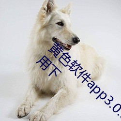 黄色软件app3.0.3免费vivo版大全装扮2023不用下 （淡而不厌