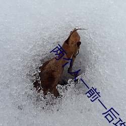 两个人一前一后攻击公交 （孤行��