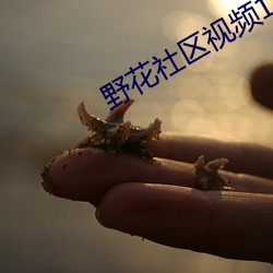 九游会登录j9入口 - 中国官方网站 | 真人游戏第一品牌