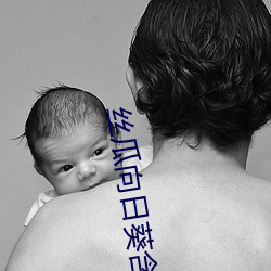 丝(絲)瓜向日(日)葵(葵)含羞草