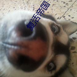 复活帝国 （知命乐天）