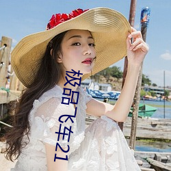 极品飞车21