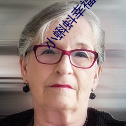 小蝌蚪幸福寶入口導航