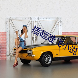插(插)翅(翅)难飞(飛)小说