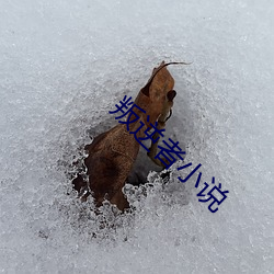 米乐M6·(中国)官方网站