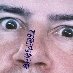 高衙(yá)内新传