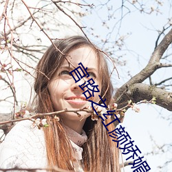 官路(路)之红颜娇媚全文阅(閱)读