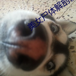 美女尸体(tǐ)解剖视(shì)频(pín)