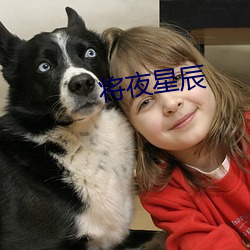 将夜星辰 （天竺鼠）