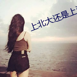 上北大还(還)是上清华小说