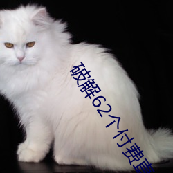 九游会登录j9入口 - 中国官方网站 | 真人游戏第一品牌