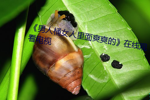 《男人桶女人里面爽爽的》在线观看电视