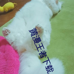BG大游(中国)唯一官方网站