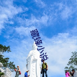 藏鋒小說