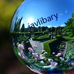 javlibary