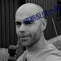 戒斷反應小說