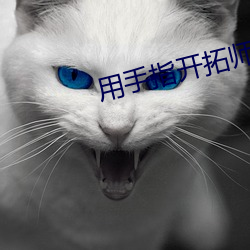 ca88手机客户端(安卓/苹果)CA88会员登录入口