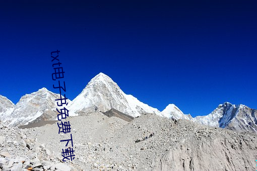 txt电子书免费下载