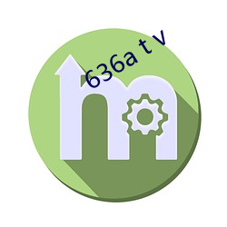 636a t v