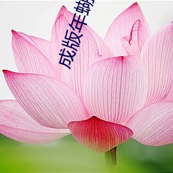 成版年蝴蝶視頻入口