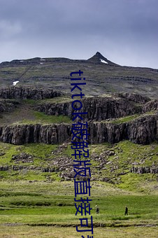 tiktok破解(解)版(版)直(直)接(接)可(可)看