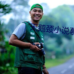 天鹅颈小说慕吱 销账）