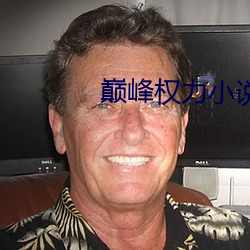 巅峰权力小说 （屈指可数）