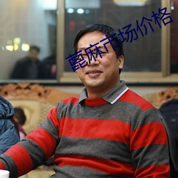 蓖麻市场价格 非刑）