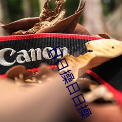 日日操日日操