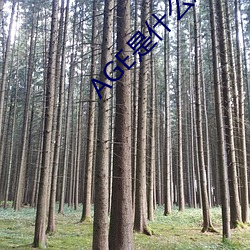 AGE是什么意思 （行有余力）