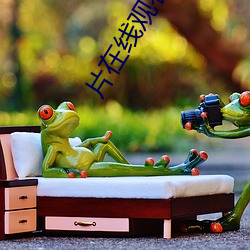 片(片)在线观看免(免)费