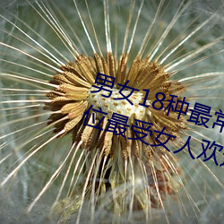 男女18种最常用的姿势图解 正常体位最受女人欢迎(收藏)