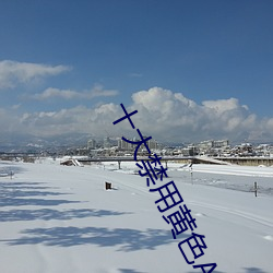 十(十)大(大)禁用黄色APP
