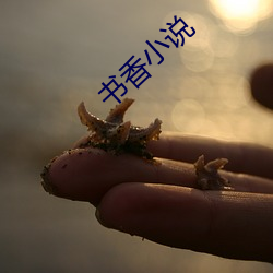 书(shū)香小(xiǎo)说