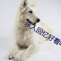 殺人回憶好看嗎