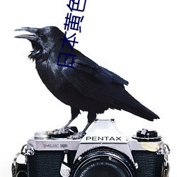 日本黄色软件