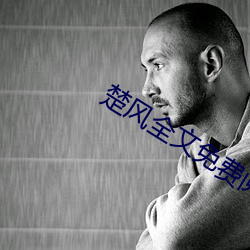 楚風全文免費閱讀
