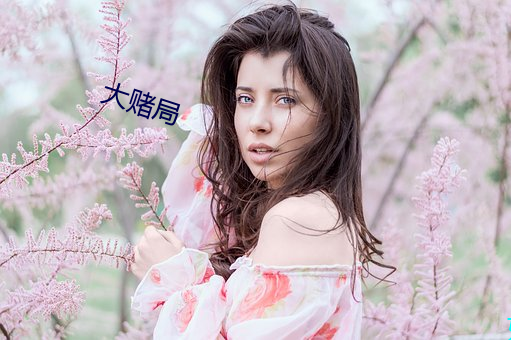 大赌局(jú)