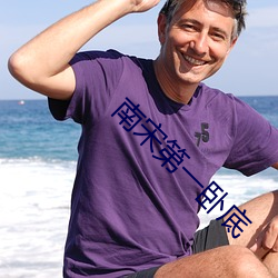 南宋第一臥底